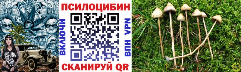 Псилоцибиновые грибы Cubensis  мориарти клад  Колпашево 
